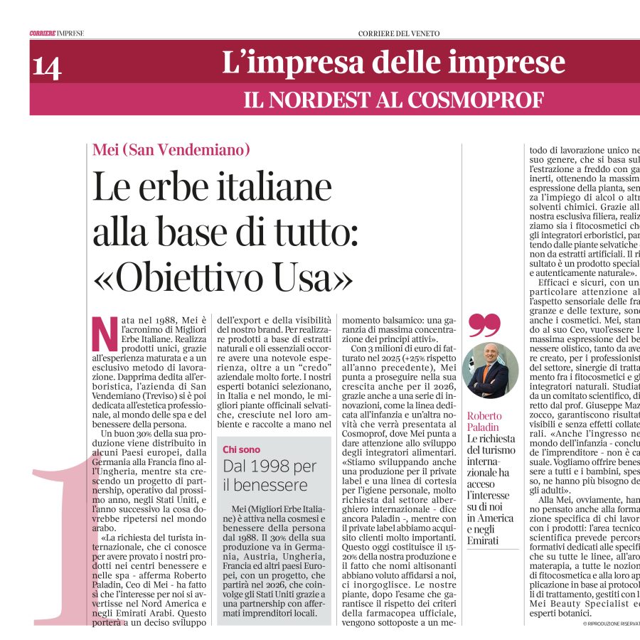 MEI protagonista su Corriere Imprese Nord Est: strategia, innovazione e internazionalizzazione.