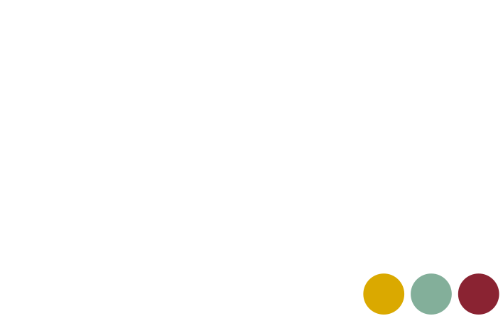 MEI experience school